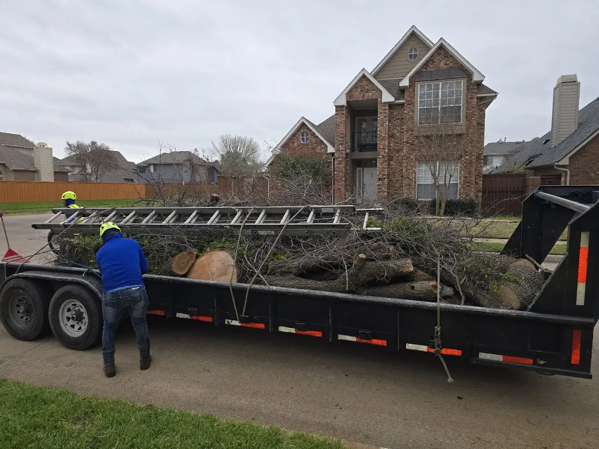 Expert Tree Fertilization with proper safety equipment in Rains